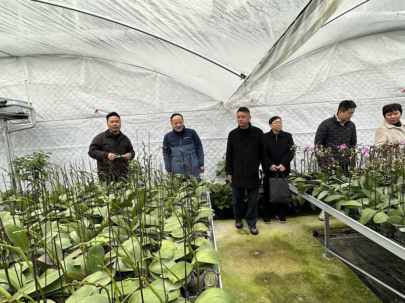 ad23dbe2_副本.jpg ad23dbe2_副本.jpg